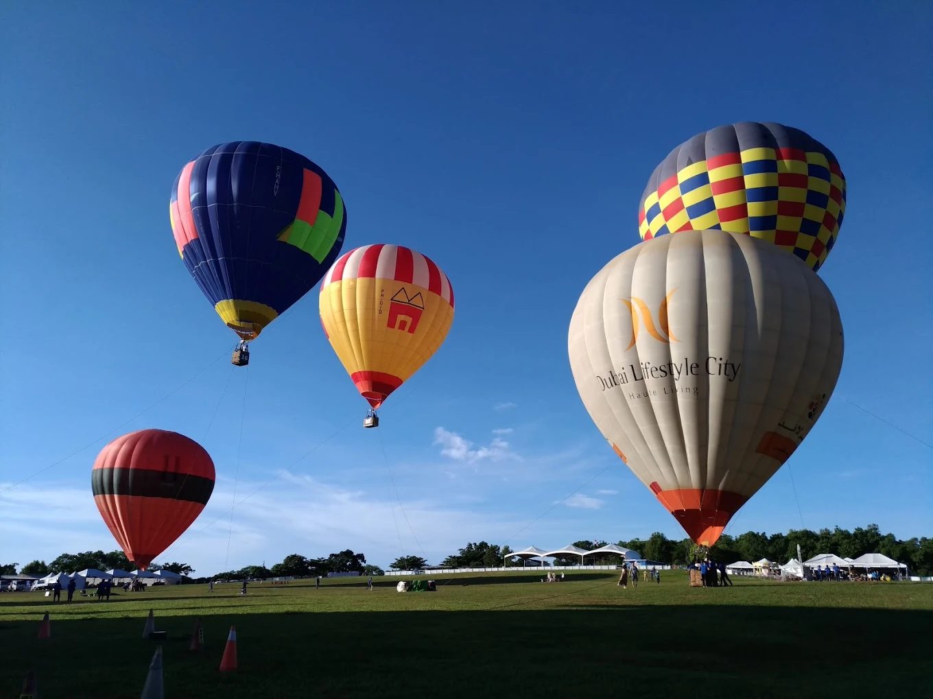 鹿野高台旅遊指南：探索台東的美景與活動