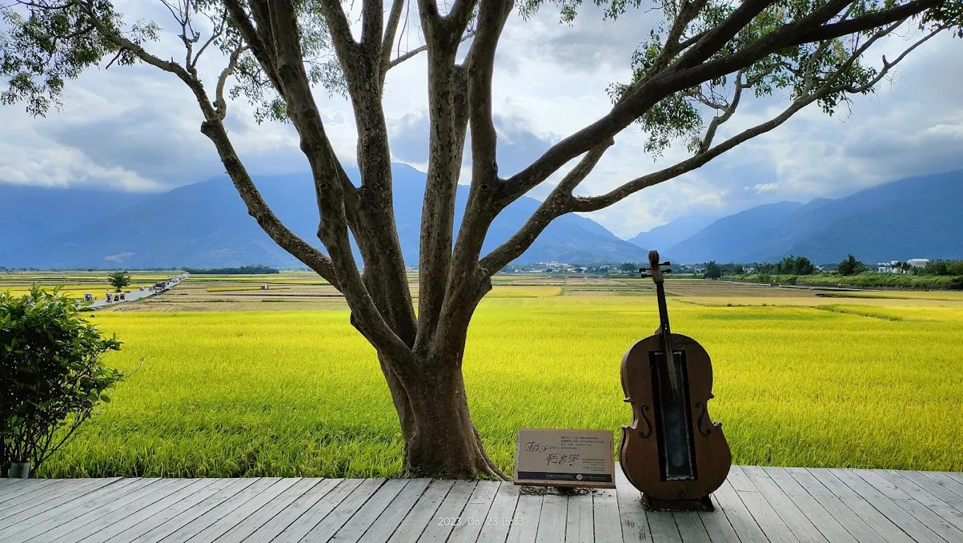 鹿野高台旅遊指南：探索台東的美景與活動