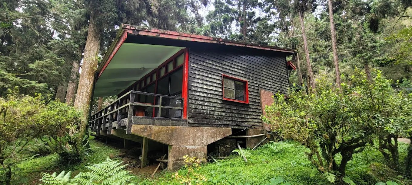 溪頭福華渡假酒店：森林系渡假天堂，樓棟全解析