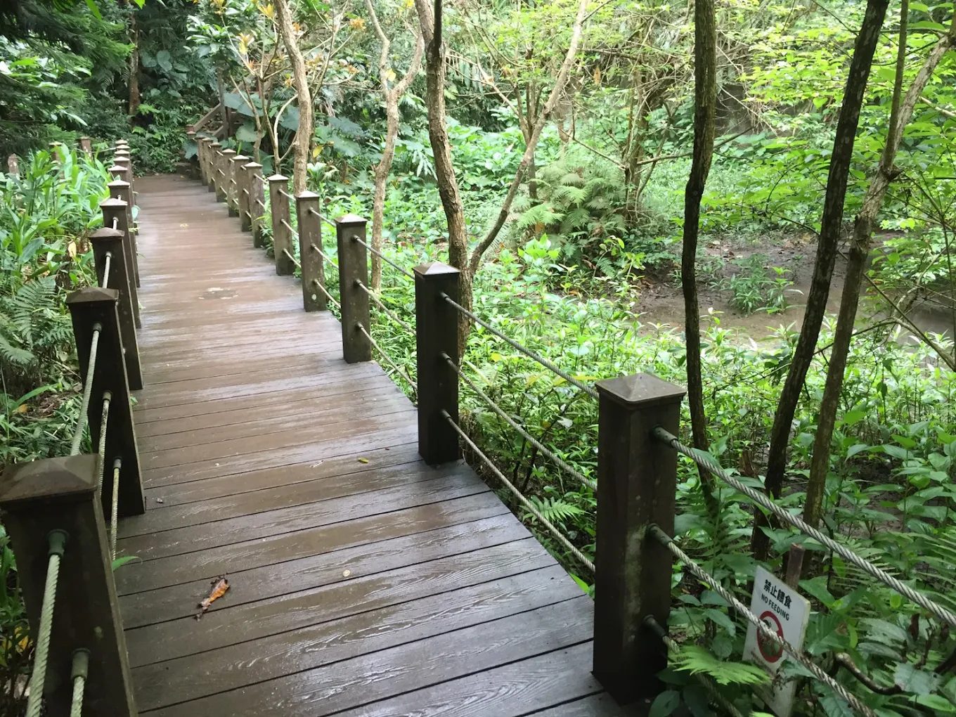 親子生態活動的最佳去處：探索生態園區