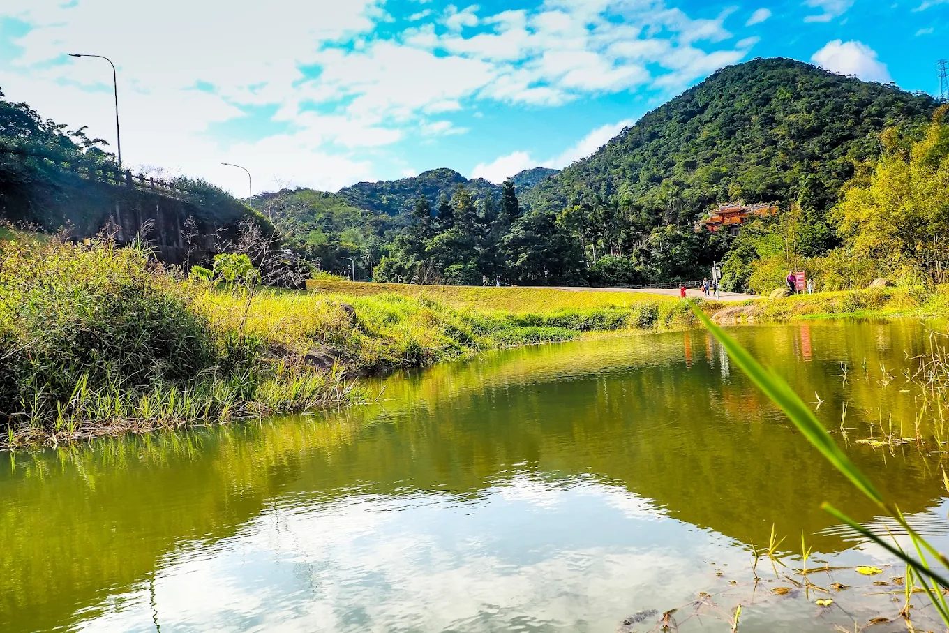 親子生態活動的最佳去處：探索生態園區