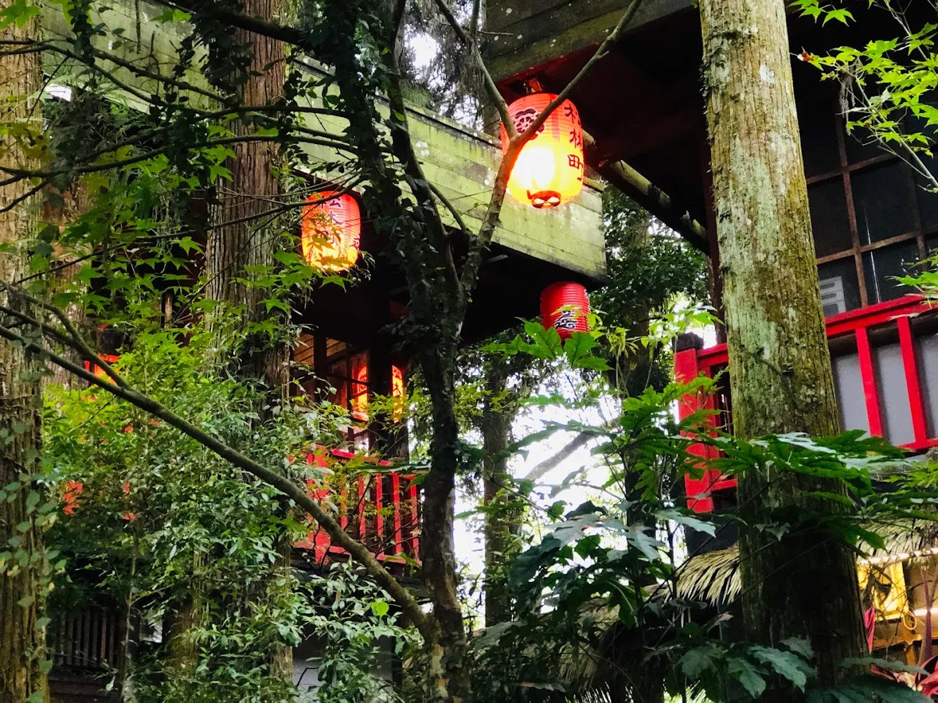 探索台灣的生物多樣性體驗：自然之美與教育意義