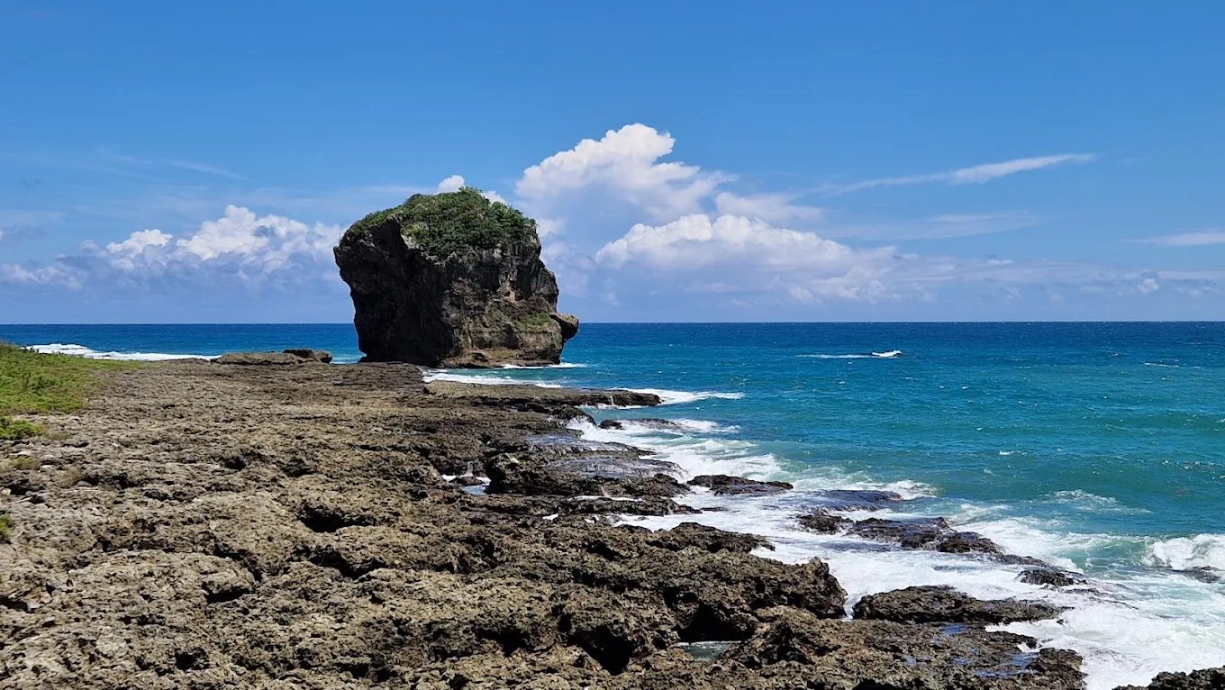 探索台灣的生物多樣性體驗：自然之美與教育意義