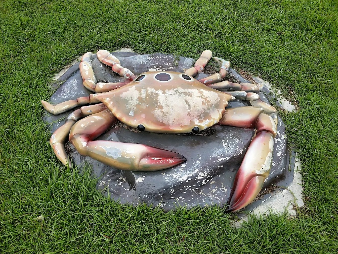 新北萬里景點|探索最佳旅遊地點與活動