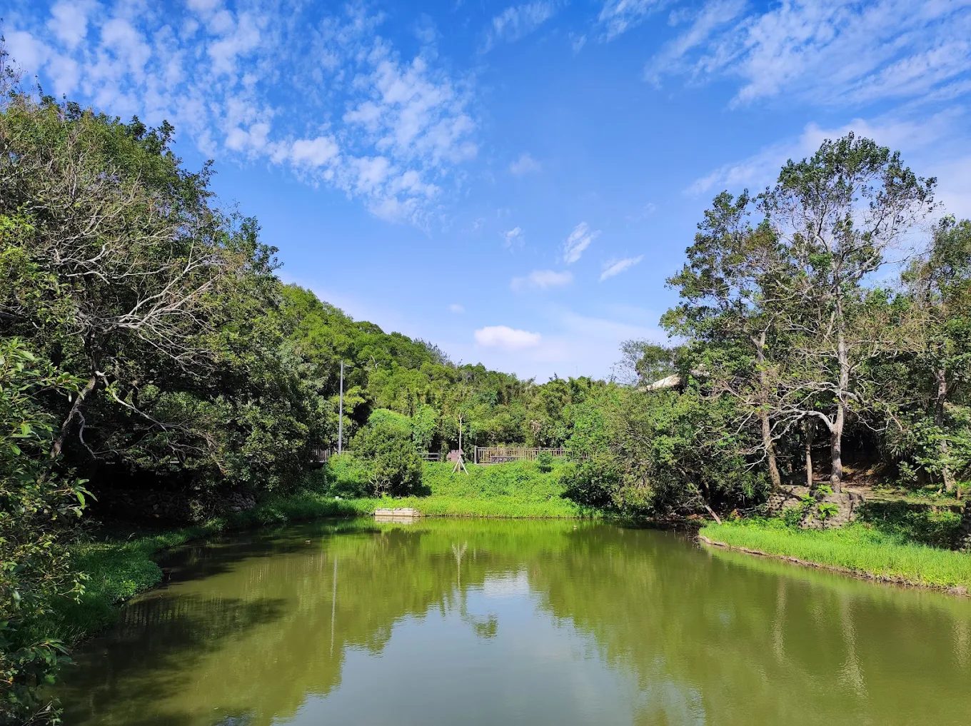 新竹景點大探索：發現新竹公園的隱藏寶藏