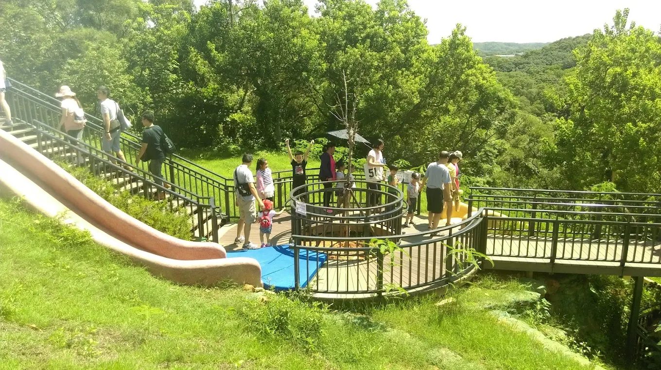 新竹景點大探索：發現新竹公園的隱藏寶藏