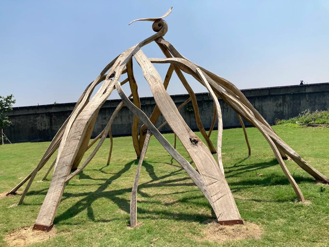 新竹景點大探索：發現新竹公園的隱藏寶藏