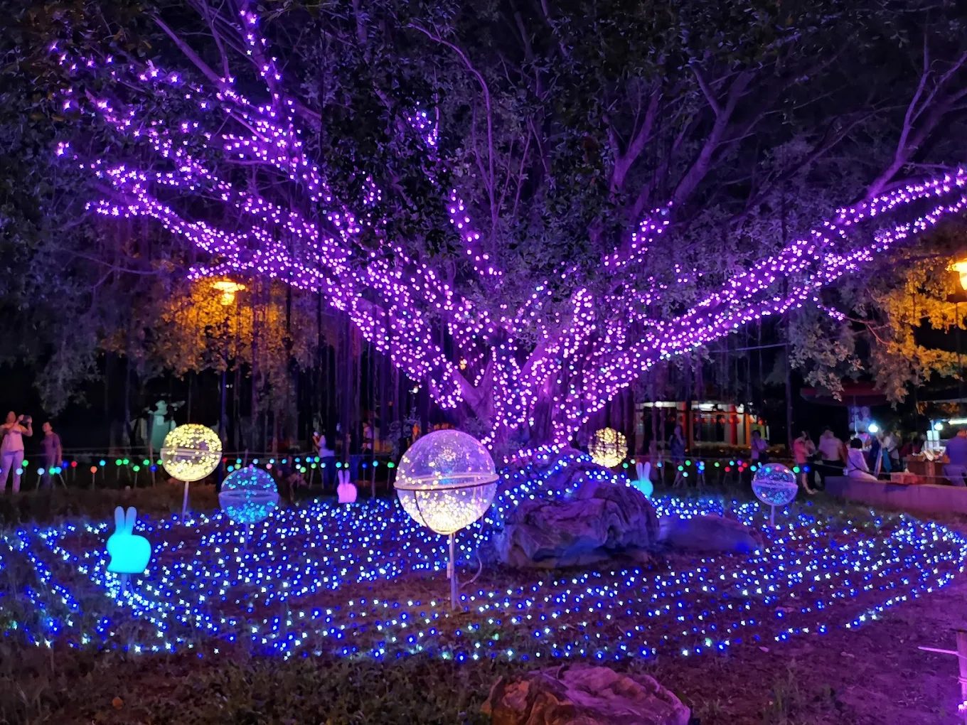 彰化景點推薦：探索八卦山天空步道及周邊美食