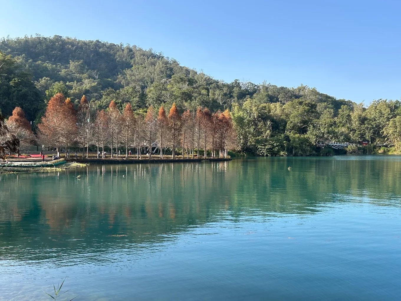 南投景點的精彩探索:發現月牙灣、水社碼頭、能高瀑布等必訪之處