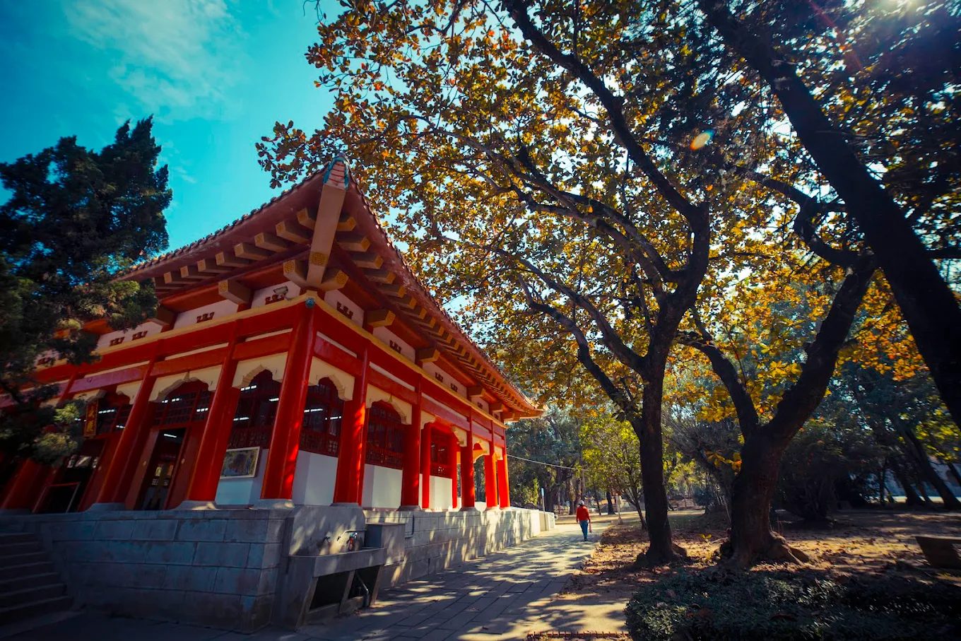 探索嘉義景點:不容錯過的熱門地標
