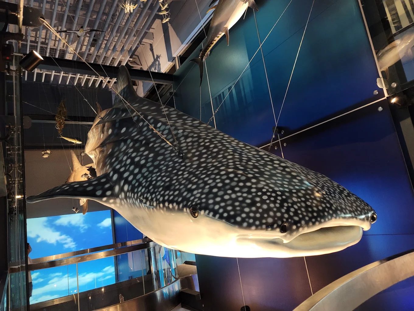 國際博物館日免費入場，探訪台灣重要博物館的絕佳機會