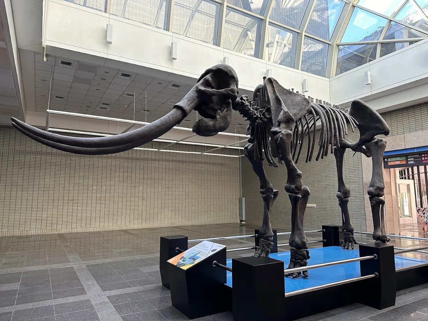 國際博物館日免費入場，探訪台灣重要博物館的絕佳機會