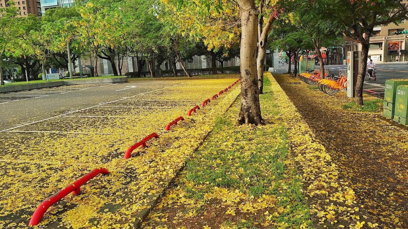 國立臺灣美術館免費入館：享受藝術與文化的最佳選擇