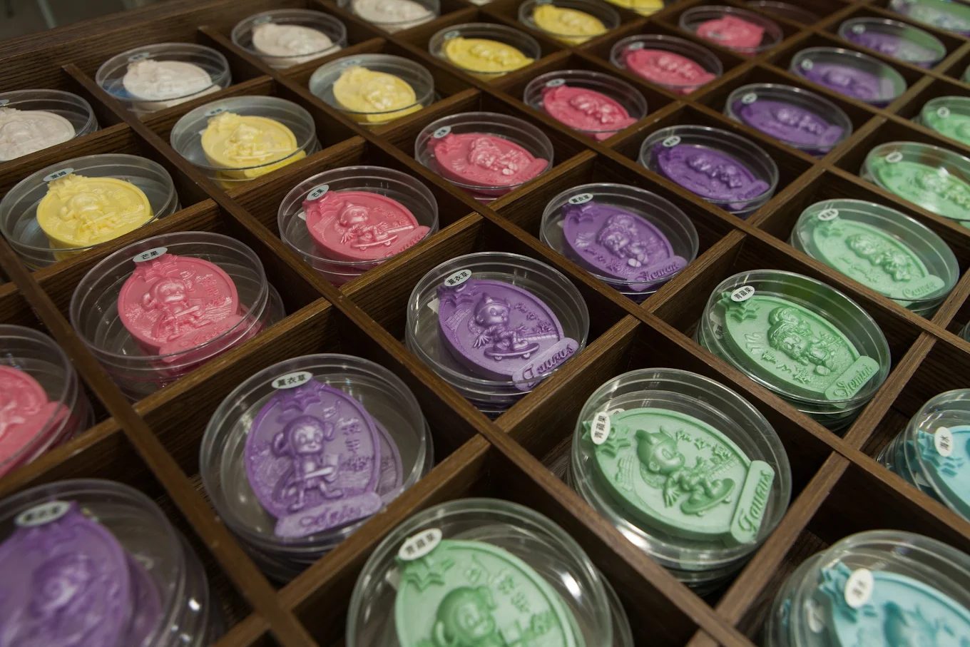 台南親子景點推薦｜與孩子一起探索樂園