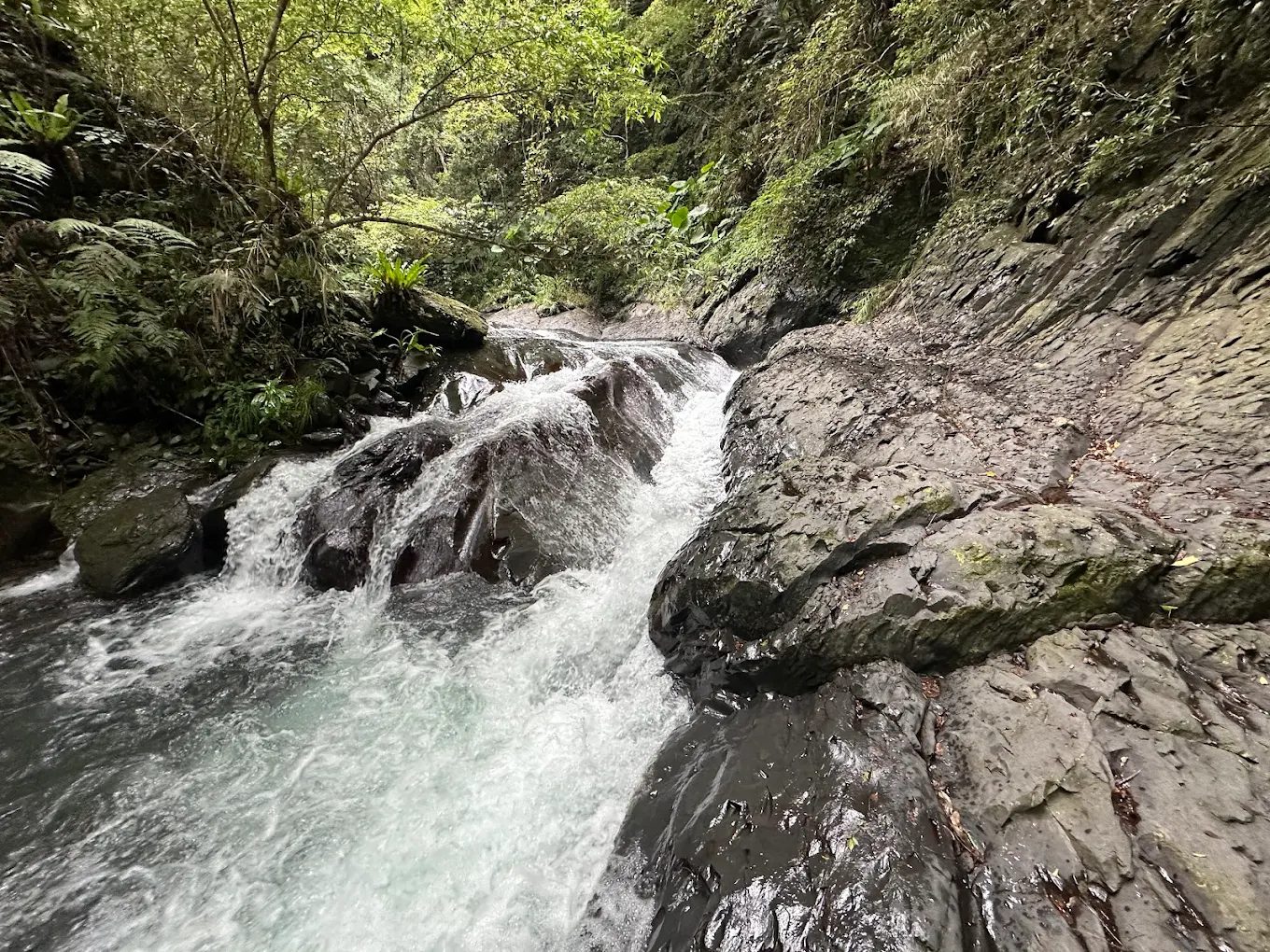 復興區景點:探索大自然的美麗瀑布與秘境