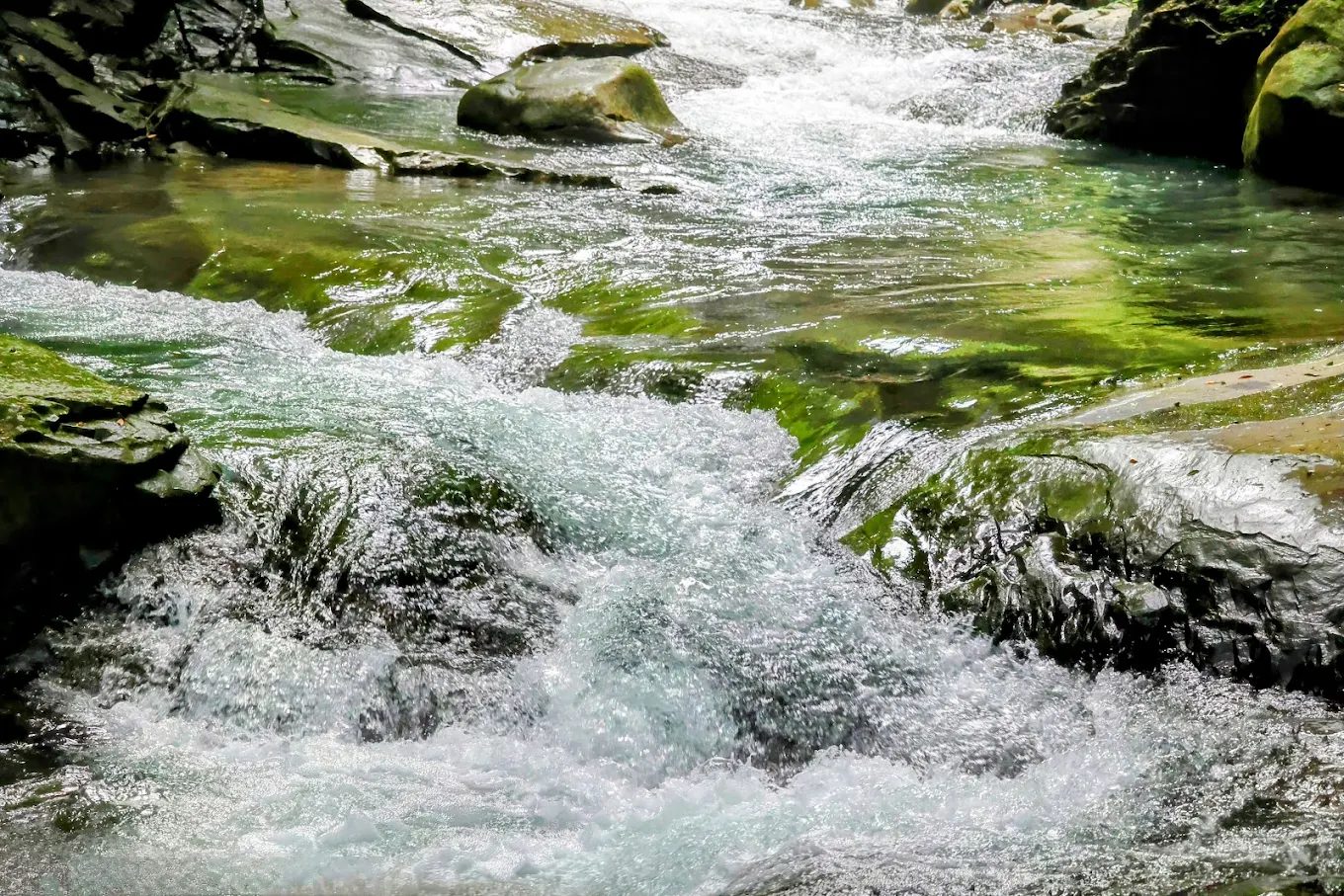 復興區景點:探索大自然的美麗瀑布與秘境