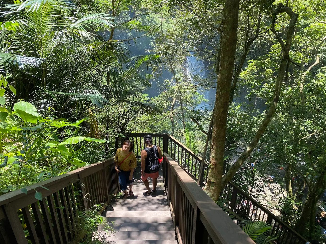 復興區景點:探索大自然的美麗瀑布與秘境