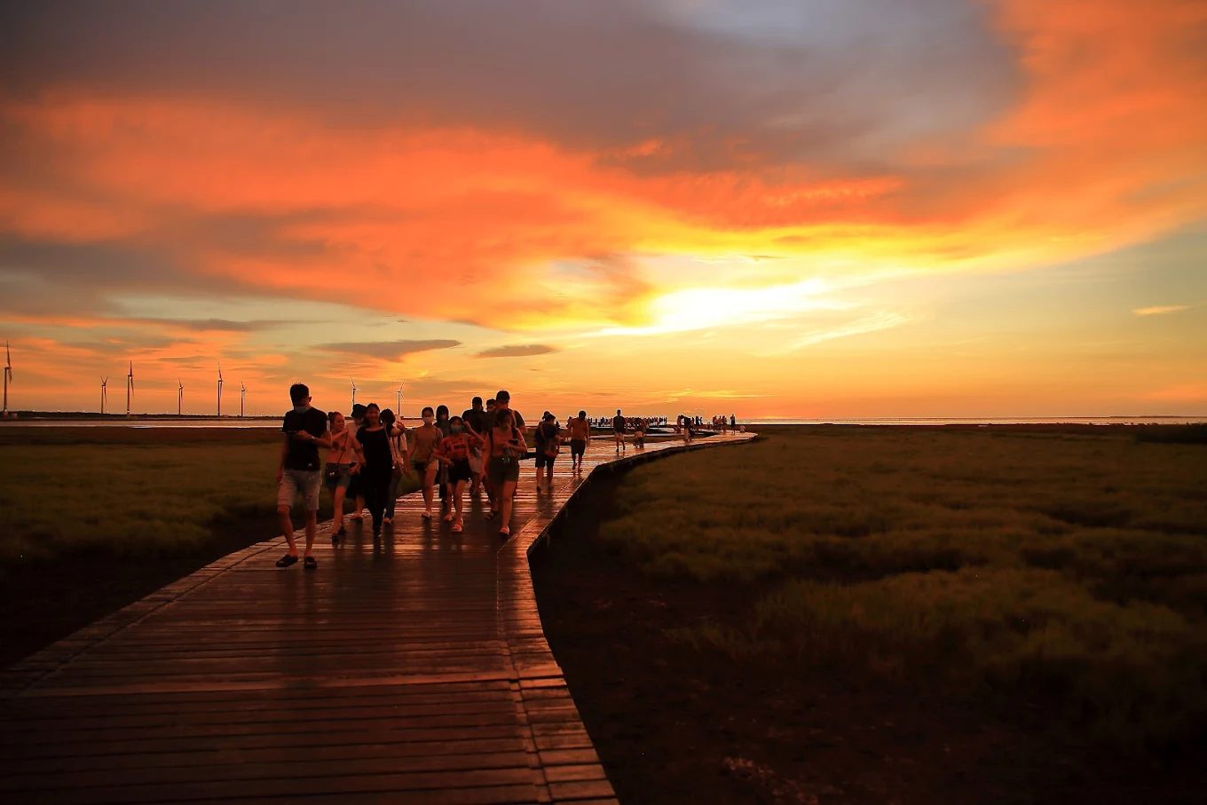 高美濕地：最佳觀賞夕陽與野生動物的秘境