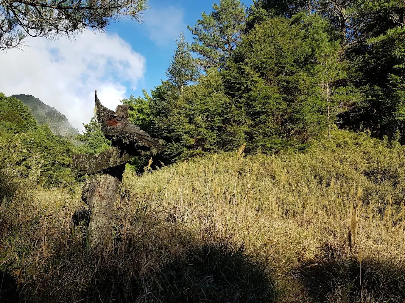 南馬洋山旅遊指南｜發掘隱藏在台灣的美麗秘境