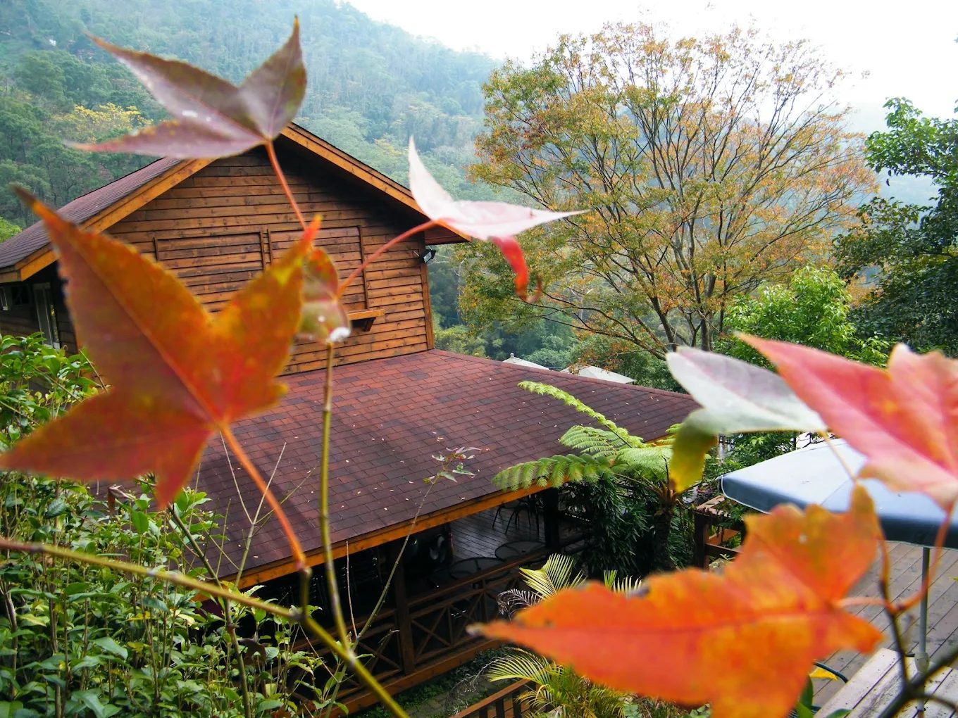 苗栗景點介紹：探索苗栗的不容錯過美麗景點