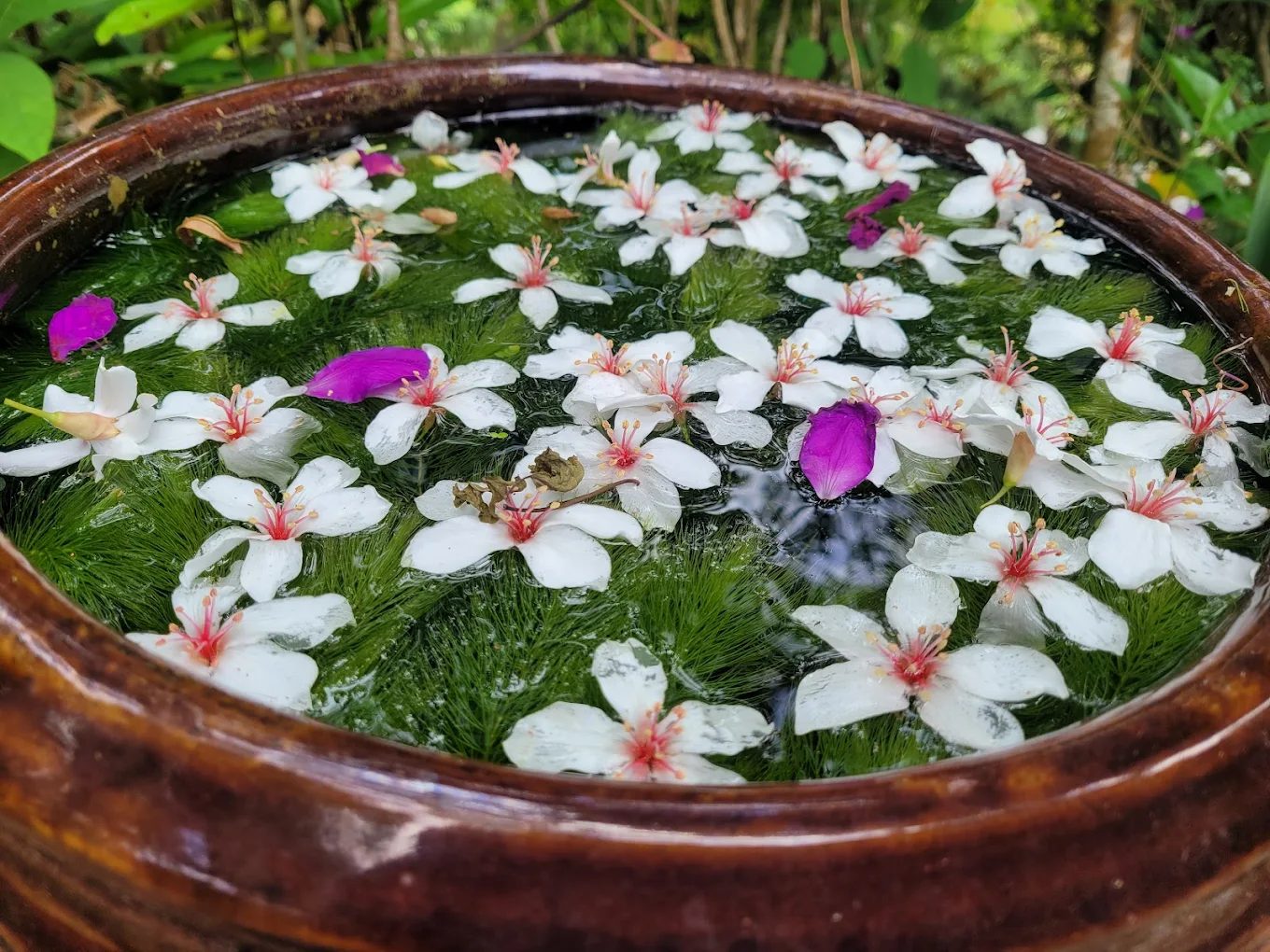 苗栗景點介紹：探索苗栗的不容錯過美麗景點