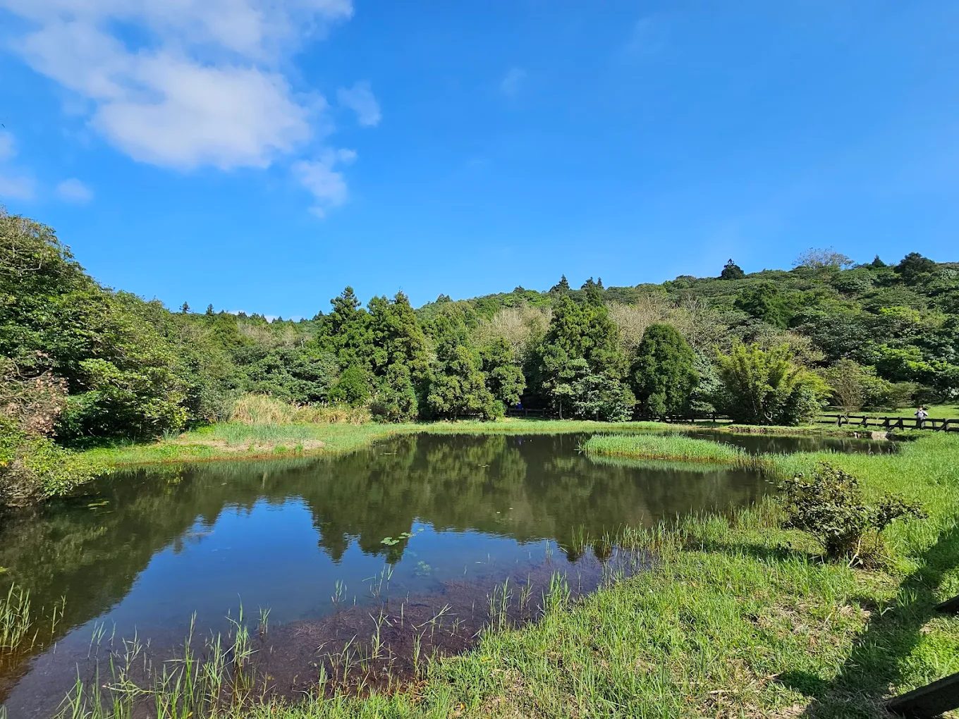 台北景點攻略：探索不容錯過的必訪地點
