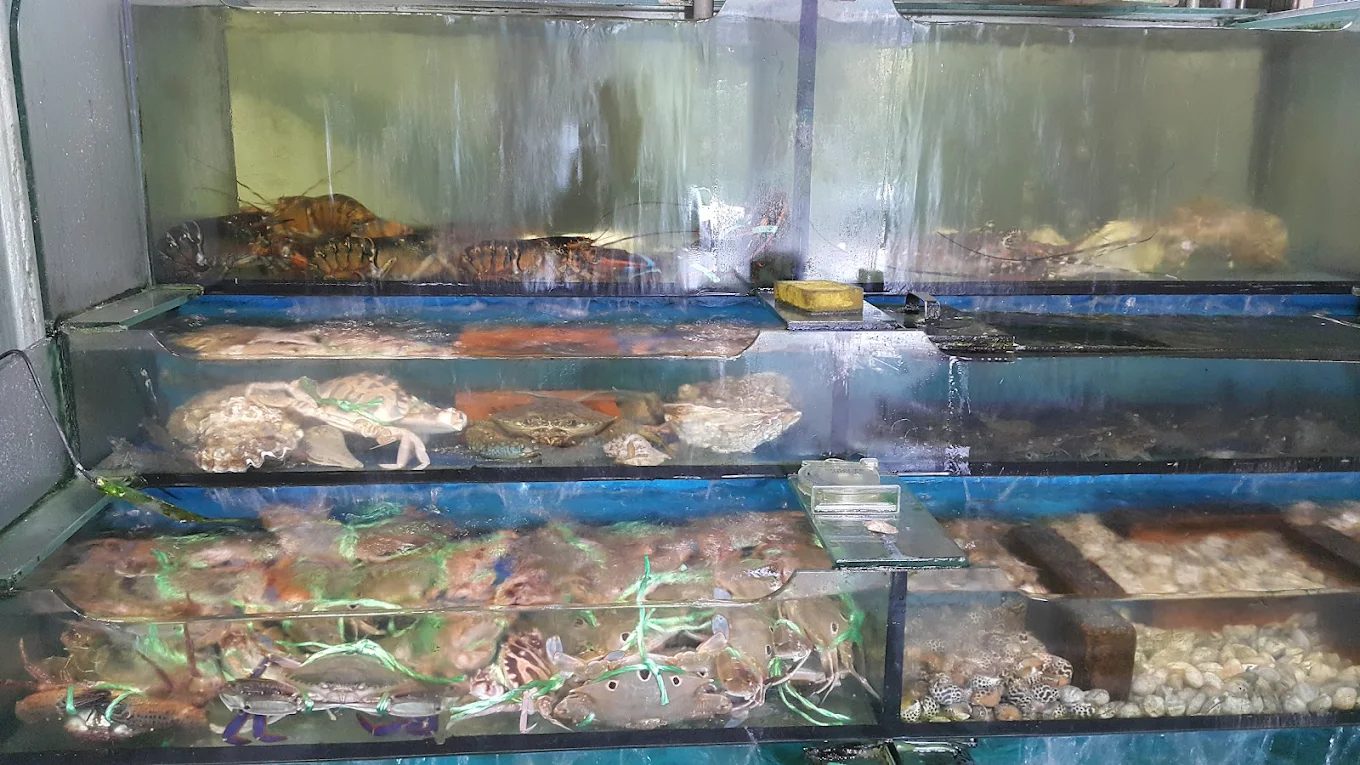 新竹景點：探索這必訪地點的獨特魅力