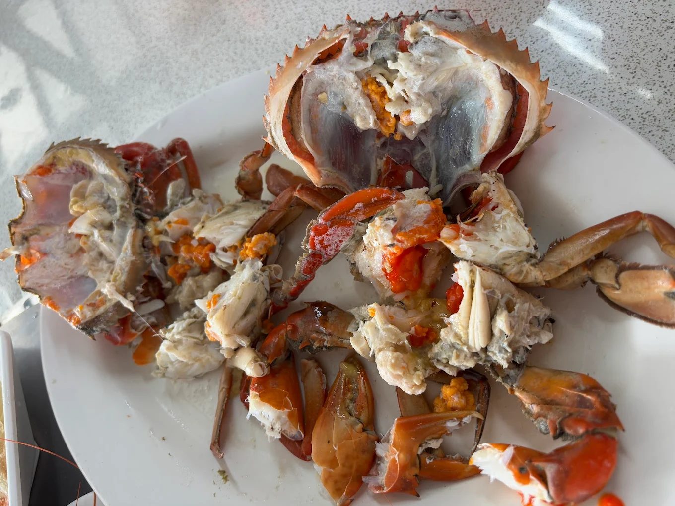 烤蚵吃到飽，享受海鮮盛宴的最佳地點