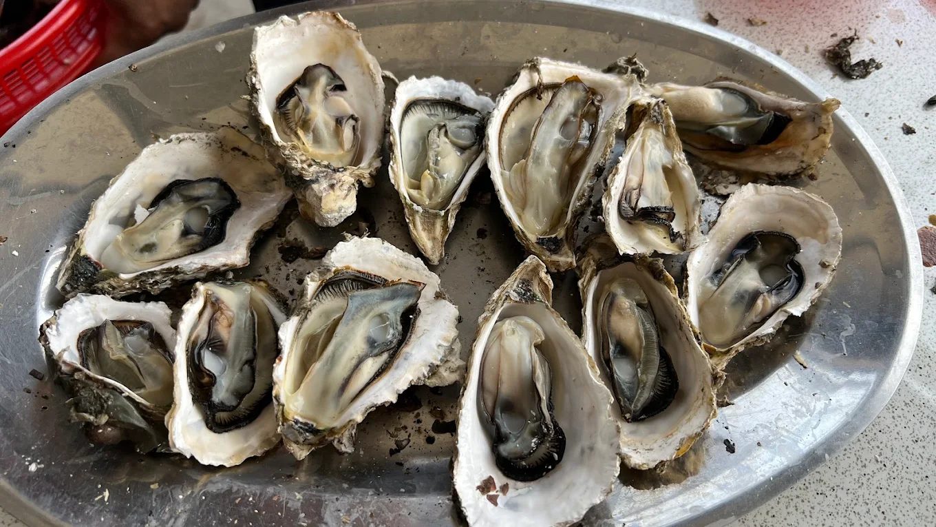 烤蚵吃到飽，享受海鮮盛宴的最佳地點