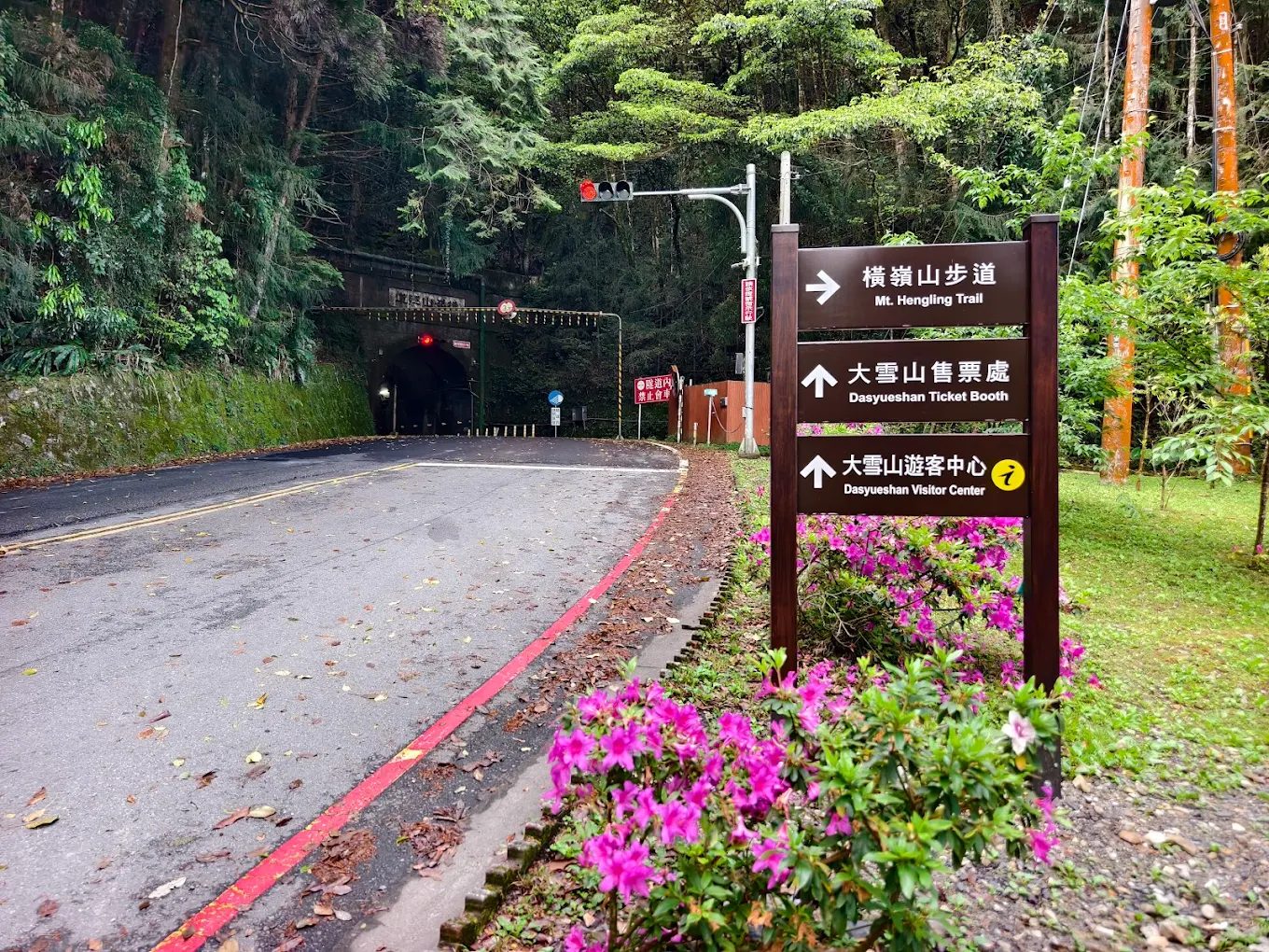 輕鬆健行：探索台灣美麗步道
