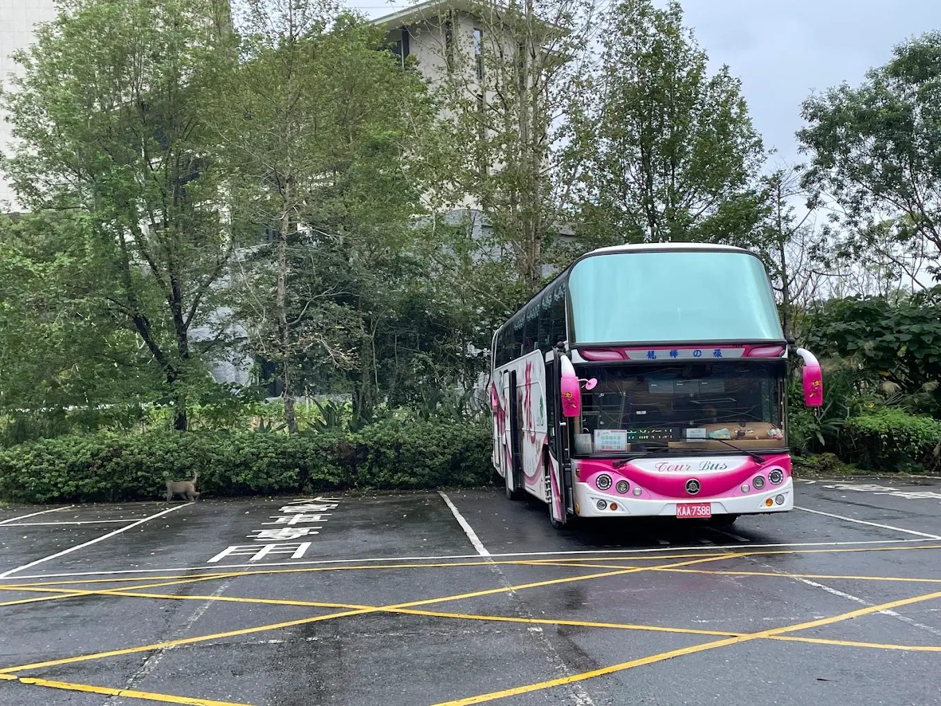 輕鬆健行：探索台灣美麗步道
