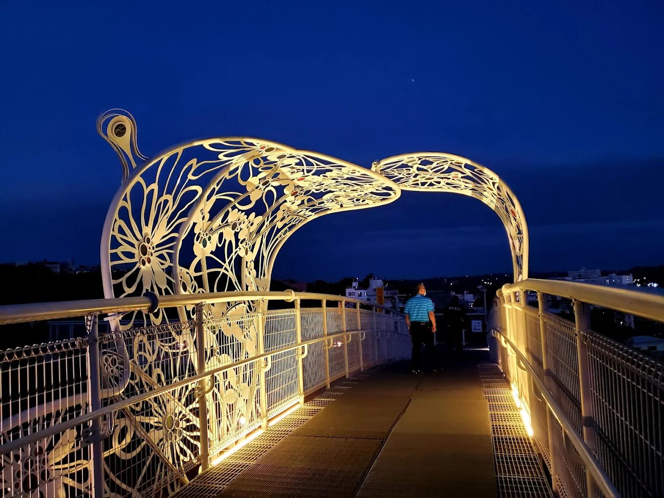 探索彰化景點：八卦山的天空步道與大佛之旅