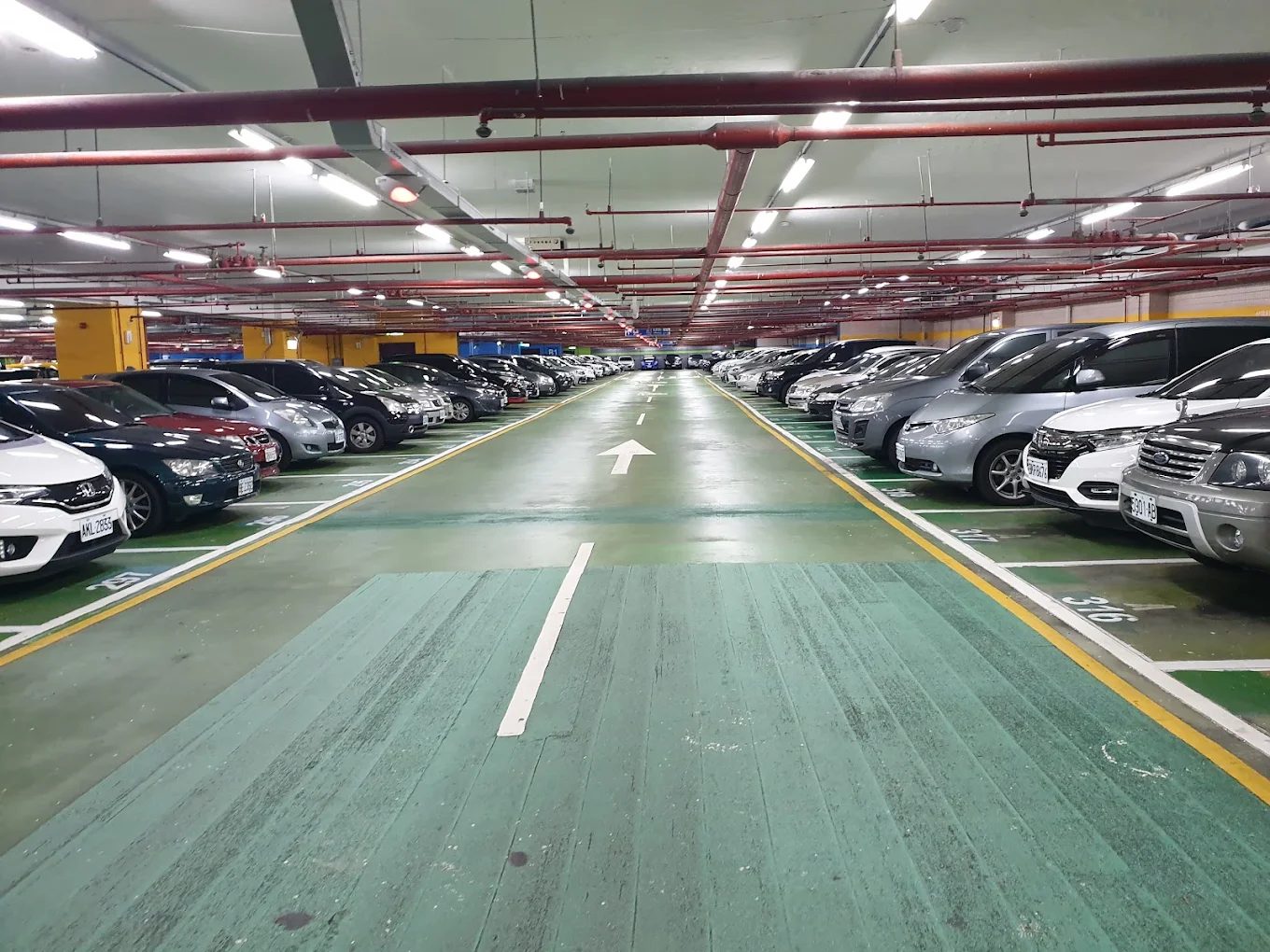 台北爬山的最佳選擇｜2025年完全指南