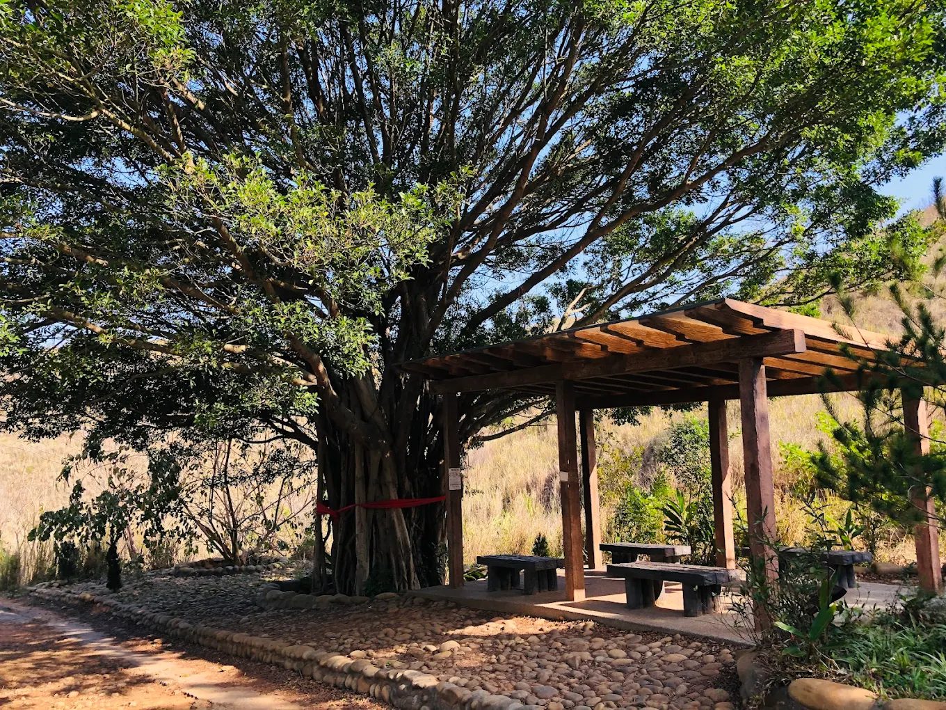 台中爬山：探索大坑登山步道的魅力