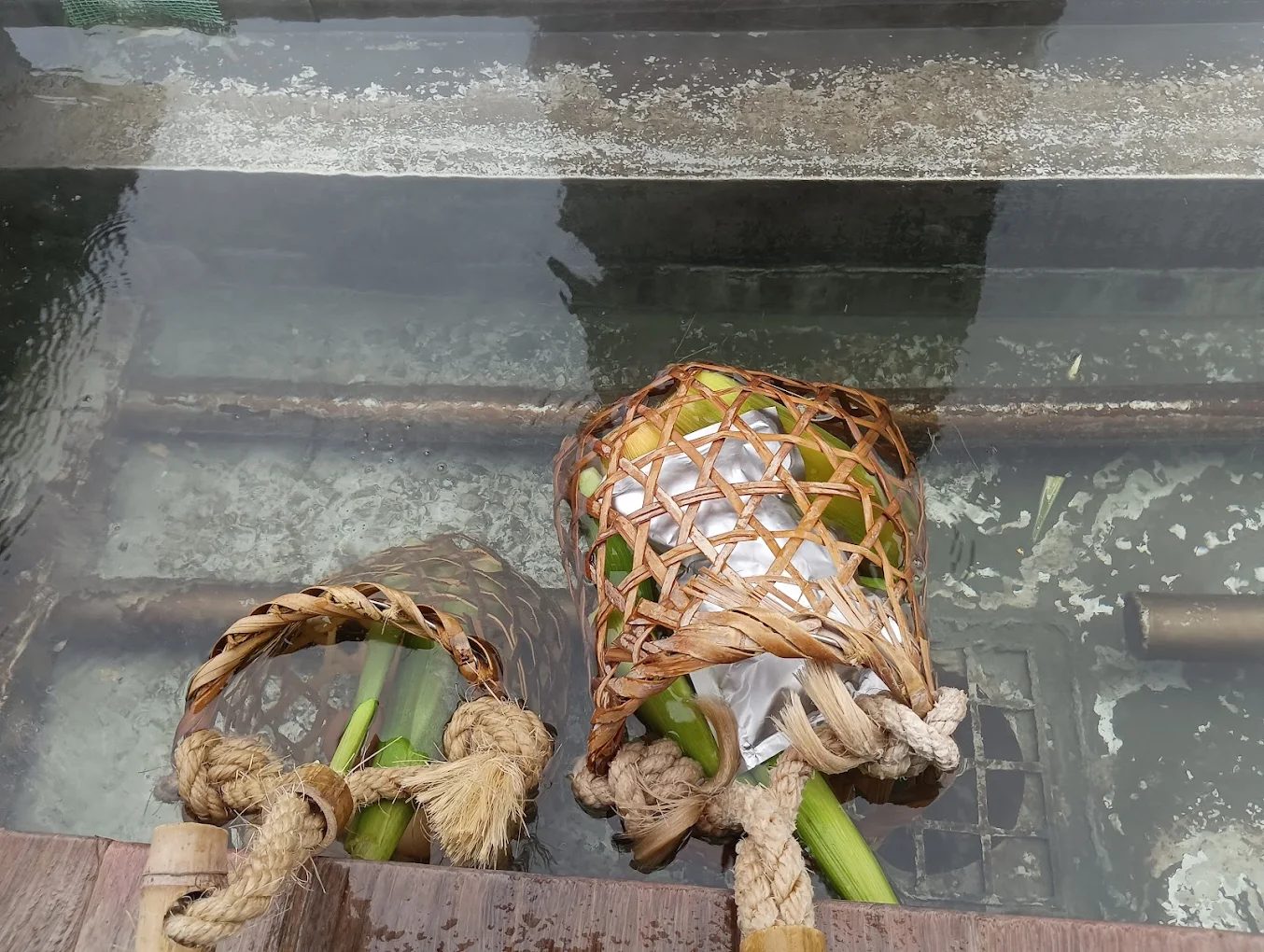 探索清水地熱公園的獨特魅力與美食體驗