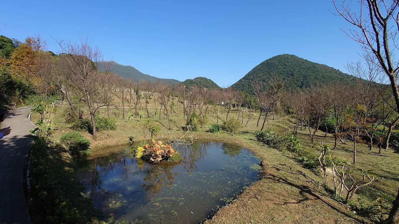 陽明山花鐘:探索這個美麗的花卉鐘塔與周邊景點
