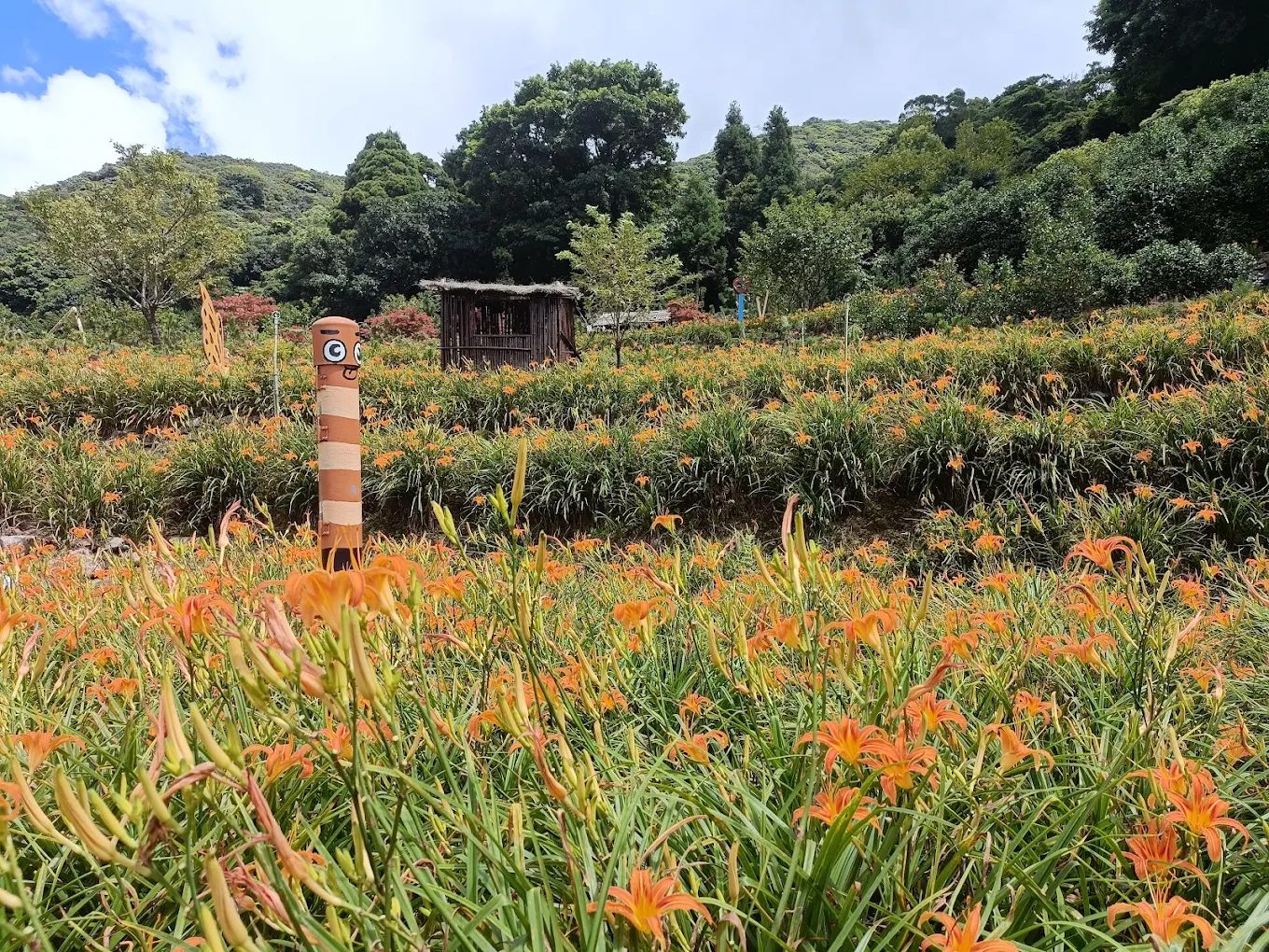 陽明山國家公園的秘境探索：不容錯過的景點