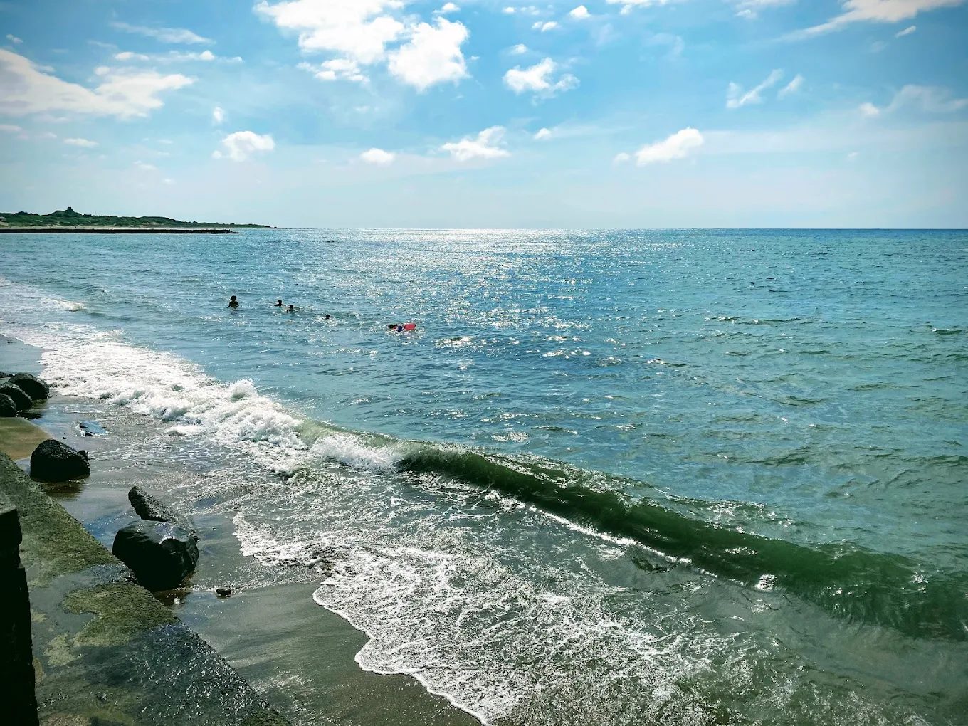 芝蘭公園的獨特魅力與必訪美食攻略