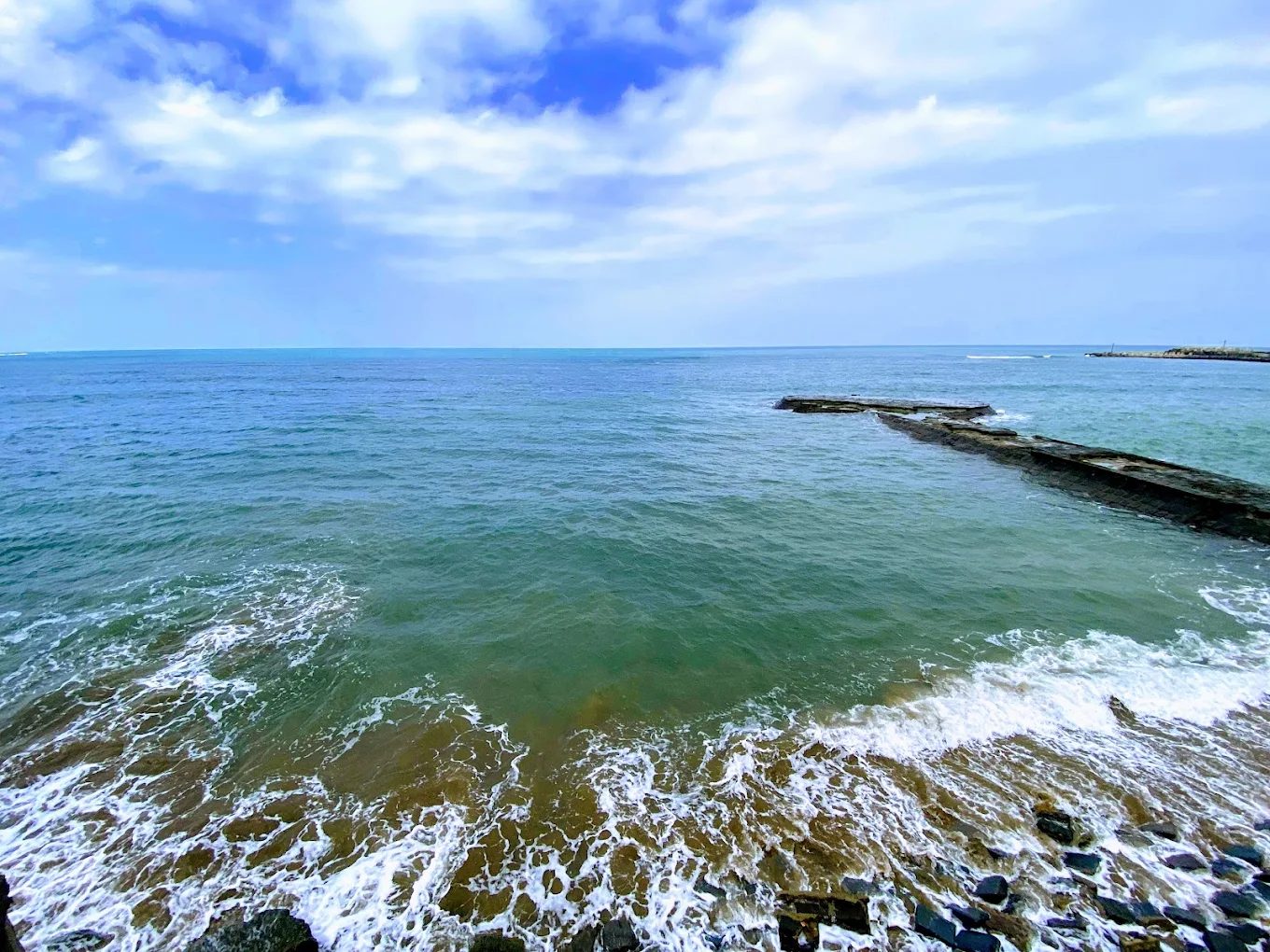 芝蘭公園的獨特魅力與必訪美食攻略