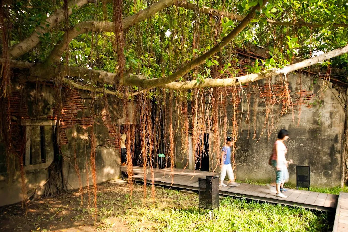 探索安平老街：台灣歷史與美食的完美融合