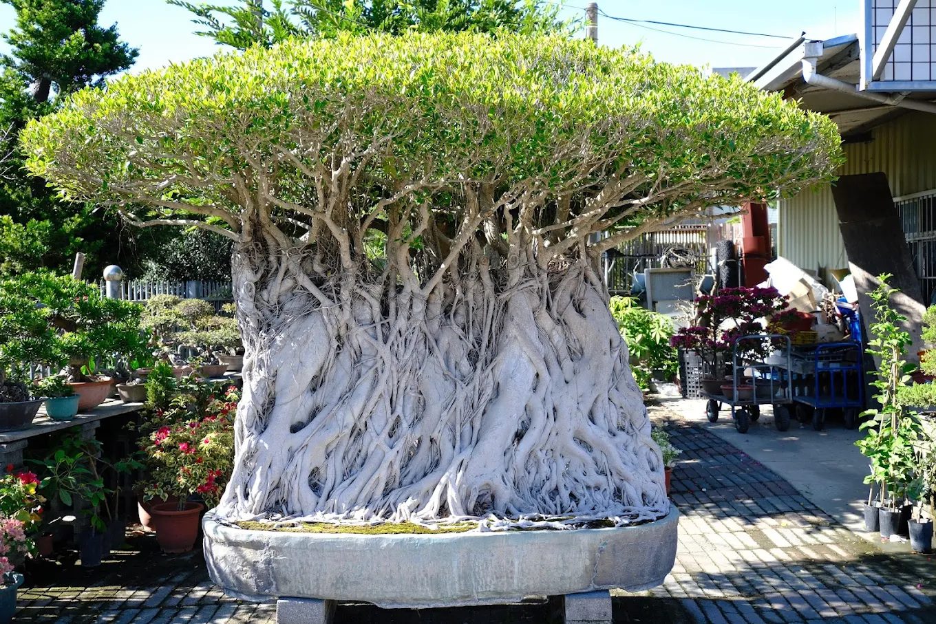 探索田尾公路花園的隱藏寶藏: 你不能錯過的亮點