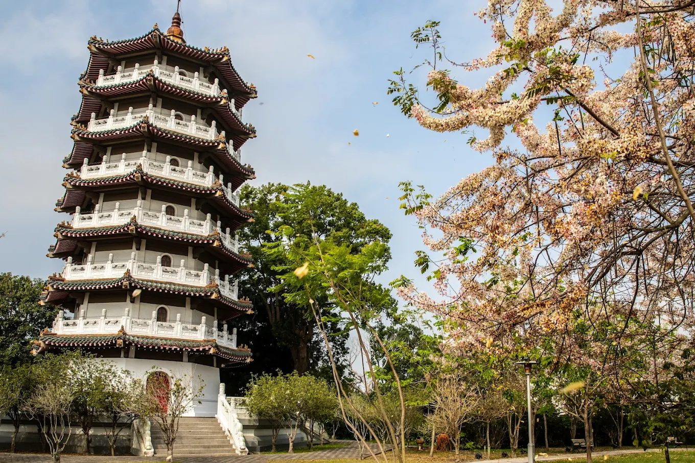 探索二水花旗木鐵道的魅力與特色