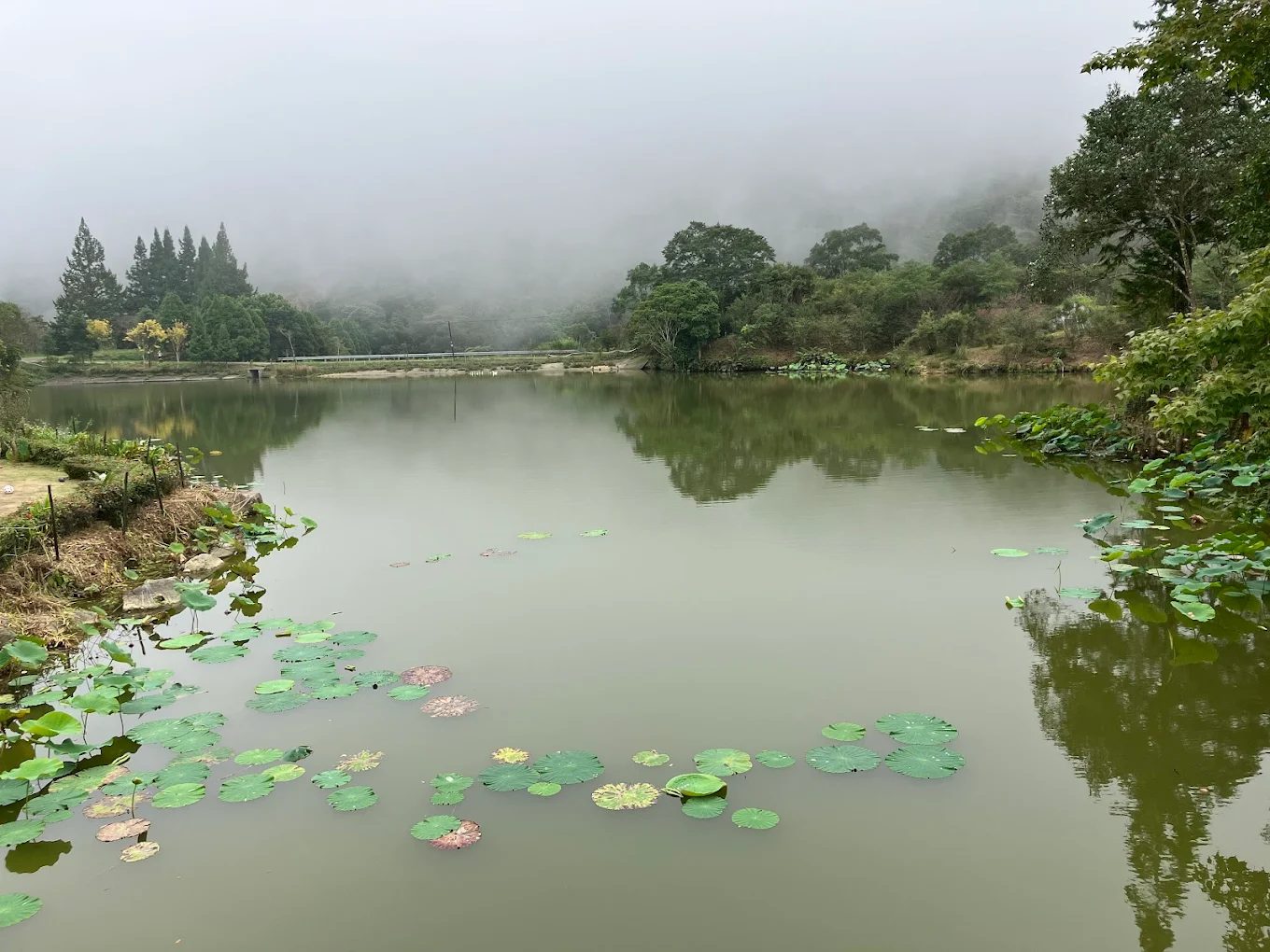 探索向天湖：苗栗最美的山間秘境