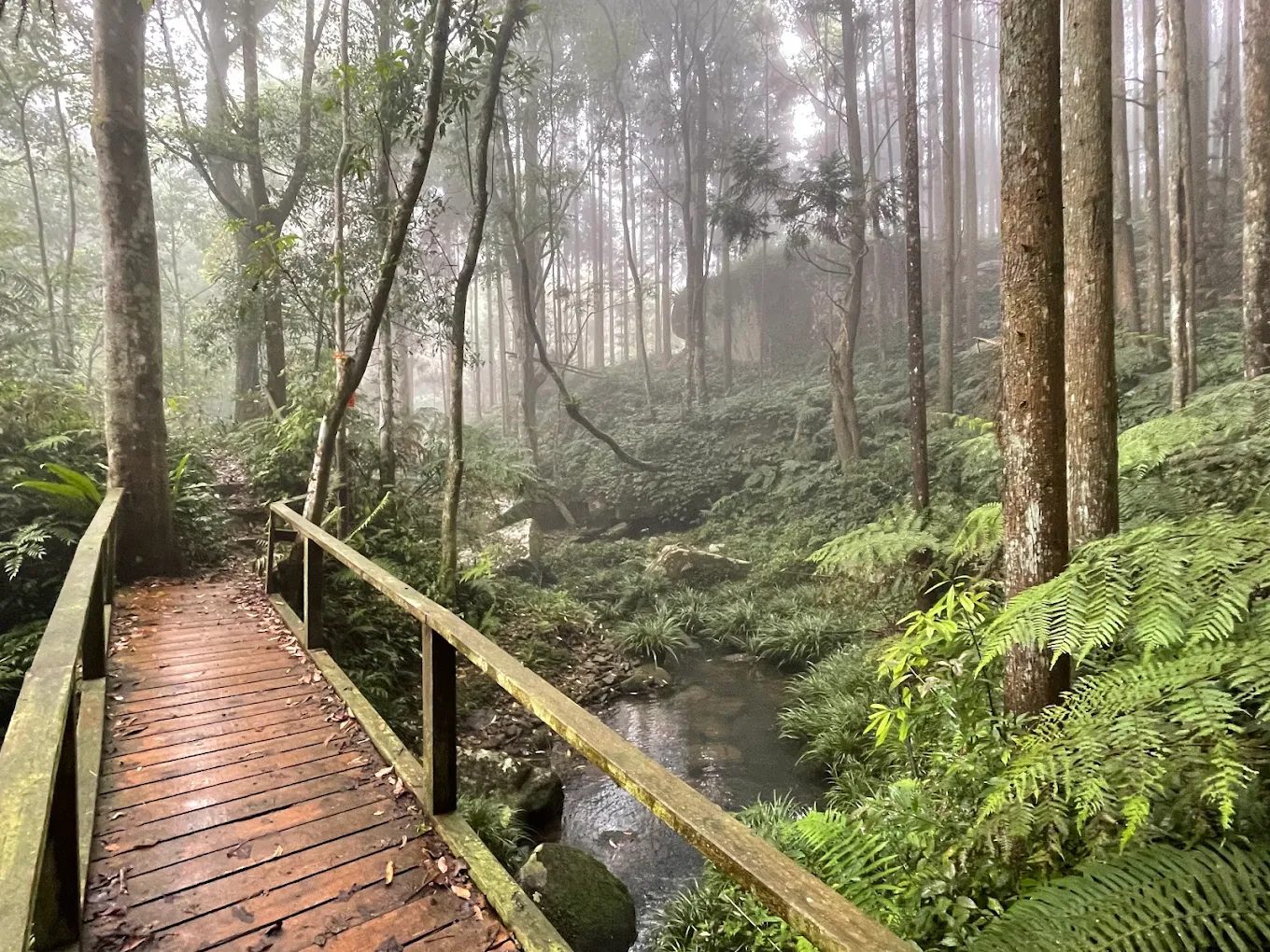 探索向天湖：苗栗最美的山間秘境