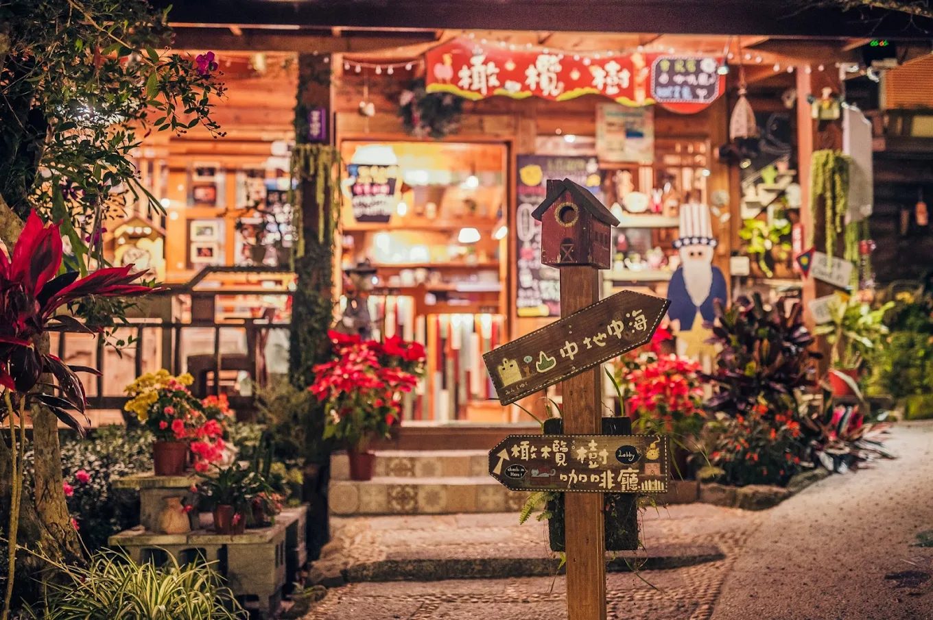 南庄橄欖樹：您理想的民宿與咖啡廳目的地