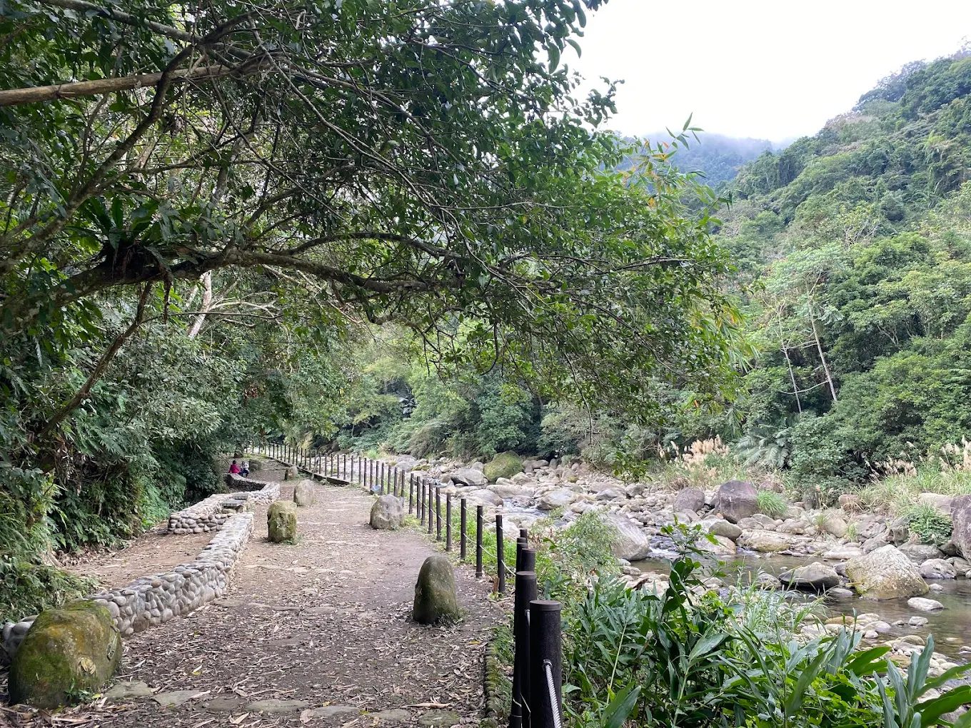 南庄橄欖樹：您理想的民宿與咖啡廳目的地