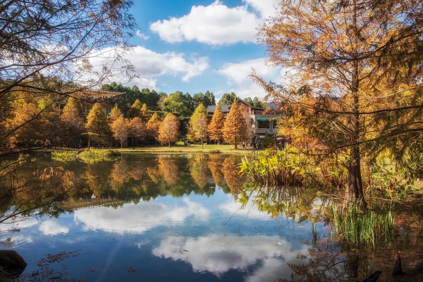揭開苗栗南庄的隱藏魅力:最佳旅遊攻略