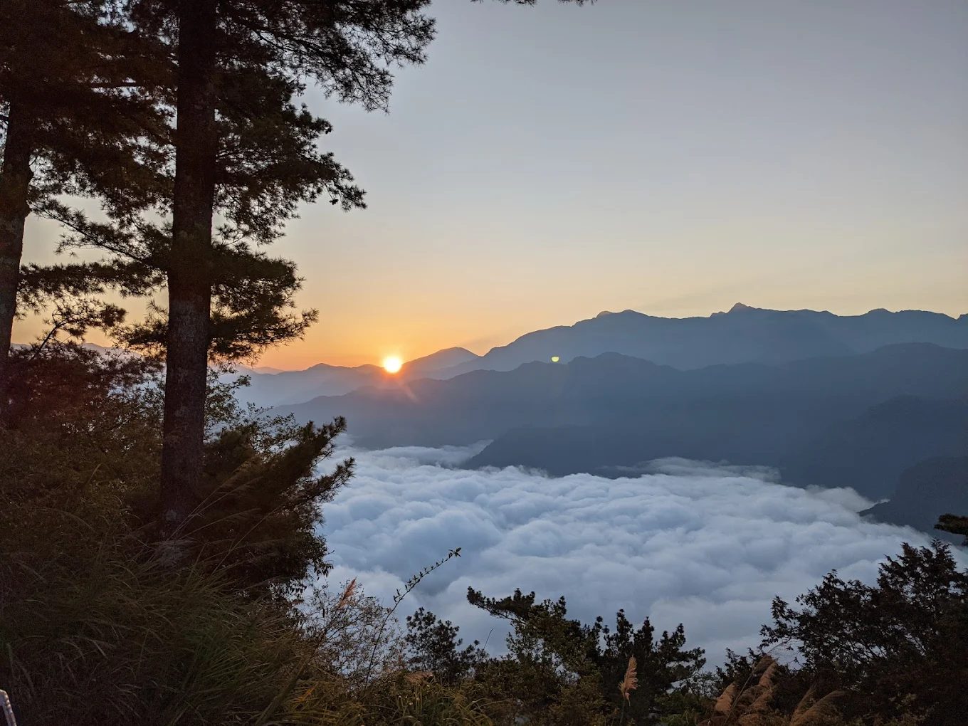 阿里山小火車：探索絕美風景與便利交通的最佳選擇