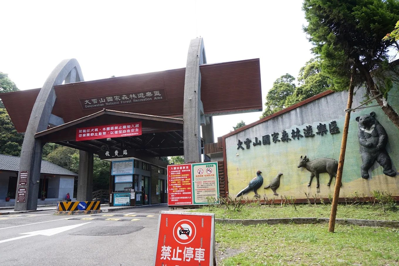 大雪山森林遊樂區全方位探索｜獨特景點、資訊與建議