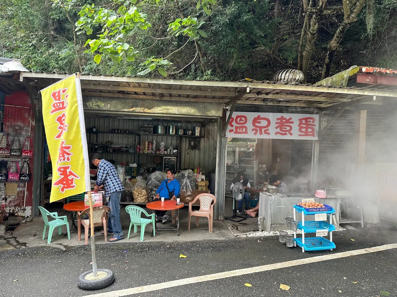 探險知本國家森林遊樂區|自然美景與體驗攻略